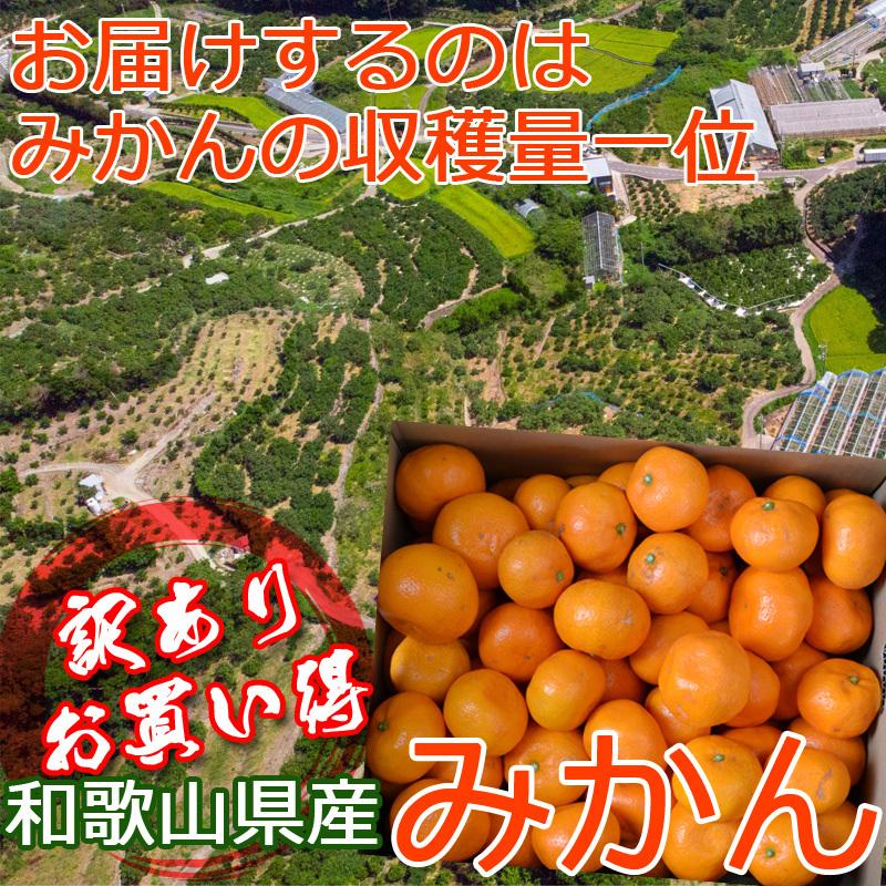 みかん 5kg（箱込約5kg）和歌山県産 訳あり・ご家庭用 送料無料（東北・北海道・沖縄県除く）（配達日指定不可）