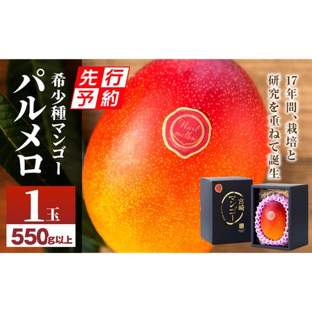 ふるさと納税 宮崎県産 希少種マンゴー パルメロ 550g以上 1玉入り 期間限定 数量限定 宮崎県宮崎市