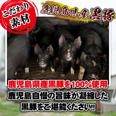 ふるさと納税 日置市 黒豚粗挽きウインナー(計1.3kg以上・8本入×9袋)(日置市)