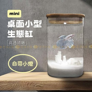 Mini 玻璃桌缸（含燈）✨桌面型迷你魚缸（生態魚缸 迷你魚缸 辦公室魚缸 鬥魚缸 魚缸 玻璃魚缸 桌缸 魚缸