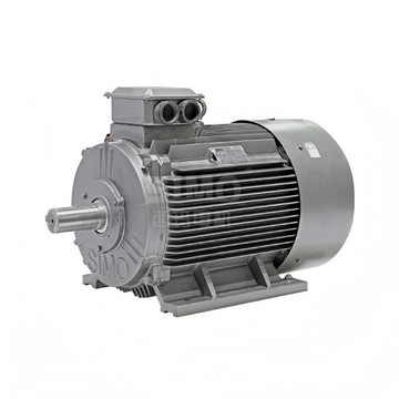 西安西瑪電機廠YE3電機YE3-315L2-8 110KW[DD2310001]