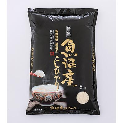 ふるさと納税 魚沼市 旨い飯におかずはいらない精米20kg 全6回