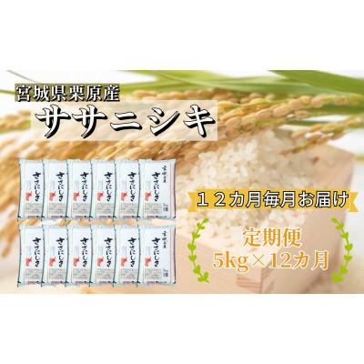 ふるさと納税 栗原市 宮城栗原産 ササニシキ 白米5kg全12回