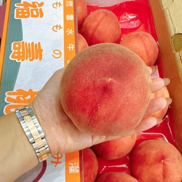 【帕查嬤嬤】🇺🇸美國 加州 誼馨園 桃仙子 甜公主 水蜜桃🍑｜美國水蜜桃禮盒