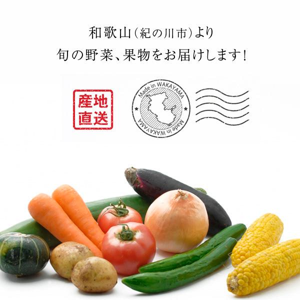 おまかせ 無農薬 旬野菜セット10種類以上と手づくり塩麹［送料無料］■期日指定不可・翌日受取限定 ※時間指定にご注意ください■