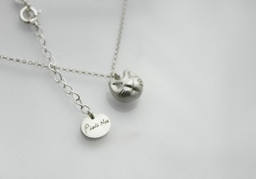 最近認識一隻貓