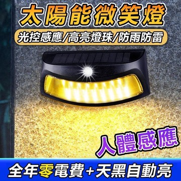 太陽能燈 人體感應太陽能燈 太陽能戶外燈 應急燈 庭院燈 LED燈 投射燈 路燈 探照  露天市集  全台最大的網路購物