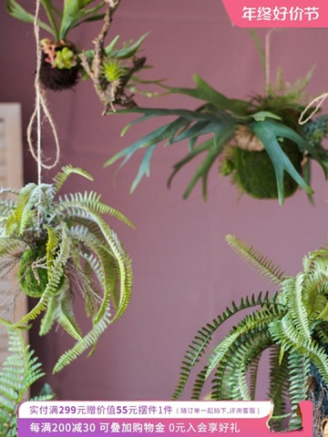 掬涵蕨類植物吊球仿真垂吊綠植波士頓蕨鹿角蕨壁掛擺件裝飾