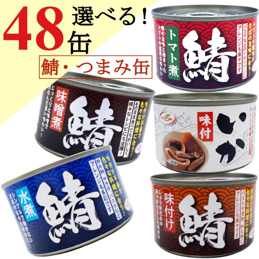 鯖缶  詰め合わせ 150gｘ48缶 （サバ 水煮 味噌煮 イカ味付） まとめ買い おつまみ 鯖 缶詰 アテ 酒の肴 おつまみセット