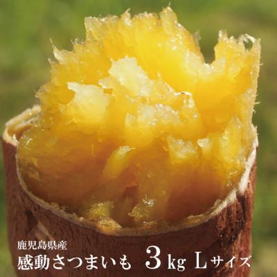 ふるさと納税 南大隅町 熟成紅はるか『感動さつまいも』Lサイズ3キロ　鹿児島県産