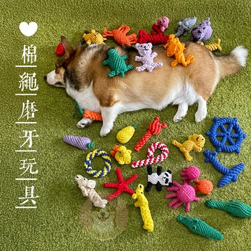 ❤️棉繩玩具❤️ 手工編織 狗玩具 磨牙玩具 狗狗玩具 寵物玩具 狗狗玩具 耐咬 磨牙棒 棉繩 結繩 啃咬 手拉耐咬玩具
