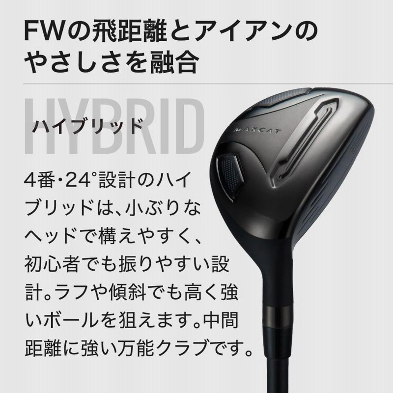 予約特典付】ゴルフクラブセット ゴルフセット メンズセット