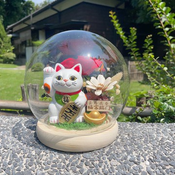 限量款 一貓生財 好運常在 招財貓 玫瑰Led玻璃花盅