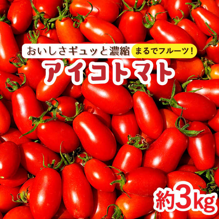 アイコトマト 約 3kg とまと トマト 南島原市   長崎県農産品流通合同会社 [SCB052]