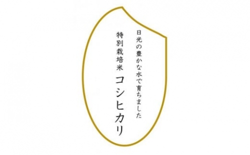 令和5年産　特別栽培米コシヒカリ　玄米10kg（5kg×2袋）