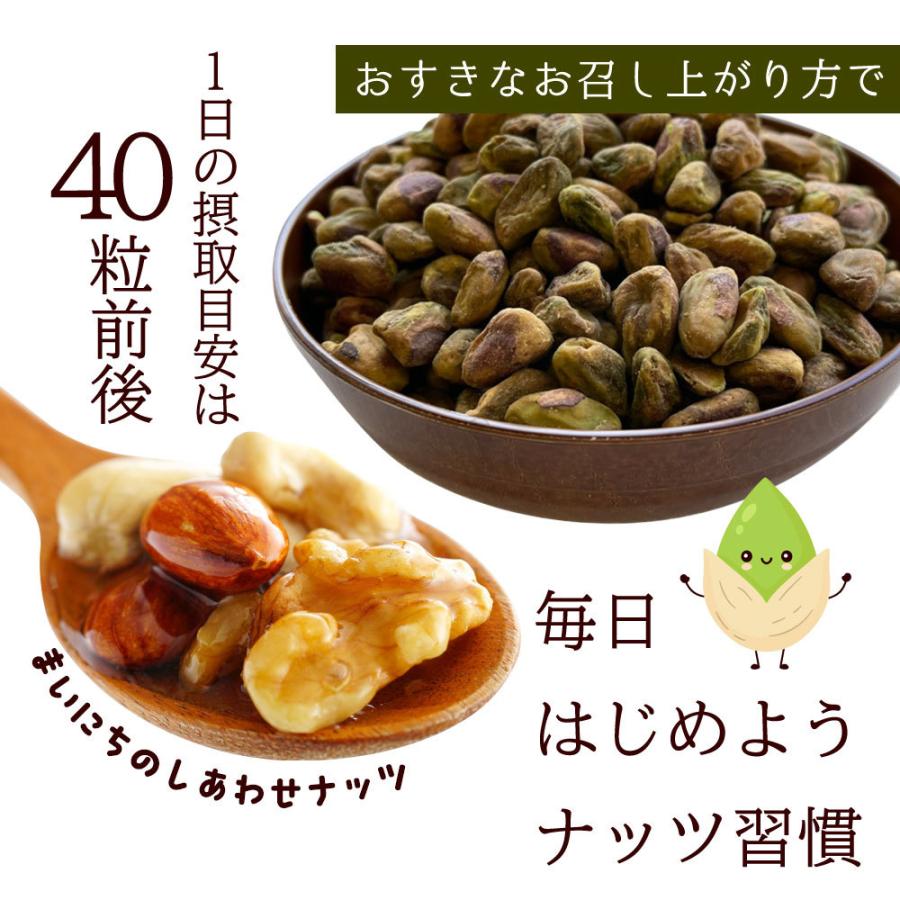 殻なし ピスタチオ 500g 素焼き 無塩 無添加 ナッツ 製菓 製パン 美容 健康 おやつ おつまみ 大容量 ポイント消化 食物繊維 ビタミン Y