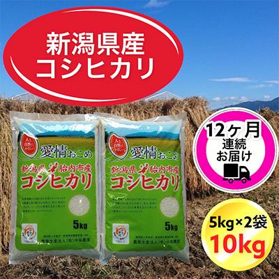 ふるさと納税 胎内市 新潟県胎内市産コシヒカリ10kg(5kg×2袋)全12回