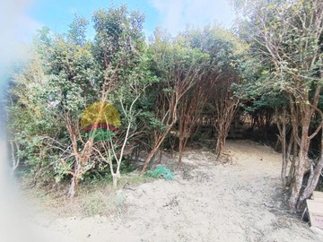 中寮鄉農牧用地｜南投縣中寮鄉龍眼林段