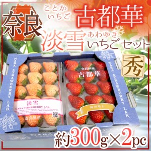 奈良県産 ”白いちご 淡雪いちご＋古都華いちご 紅白セット” 2pc（1pcあたり約300g） 送料無料