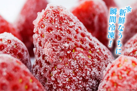 いちご 博多 冷凍あまおう 約500g×2袋 計約1kg [エイチアンドフューチャーズ 福岡県 筑紫野市 21760520] 果物 フルーツ 苺 イチゴ あまおう 冷凍いちご 冷凍苺 果実 ストロベリー ジャム用 福岡県産