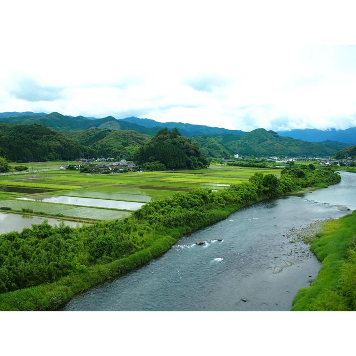 新米特別栽培米食べ比べ4kg(2ｋg×2)令和5年産　熊本県相良村産　　精白米