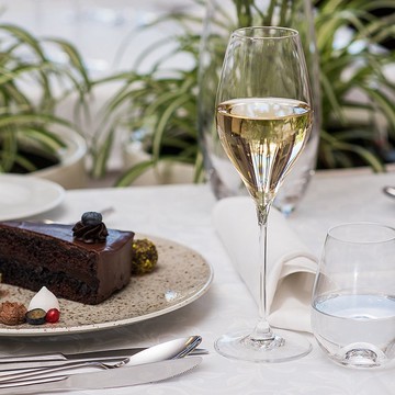 【RONA】斯洛伐克 SWAN 天鵝系列-香檳杯 320ml