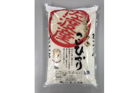 自社栽培米佐渡産こしひかり（精米30kg）