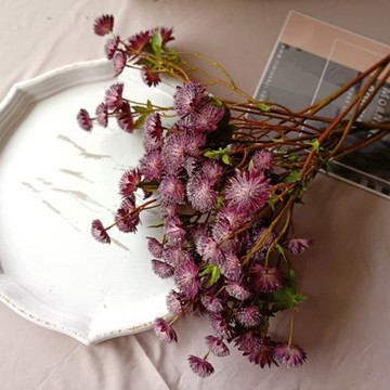 仿真花 進口星芹花 仿真花絹花 自然系手捧花藝配材 婚慶用花家飾