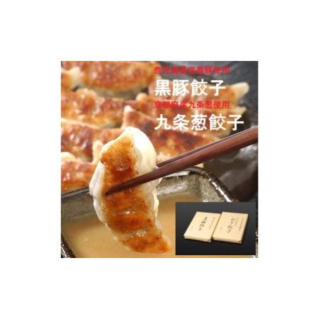 ふるさと納税 黒豚餃子・九条ねぎ餃子 各1折セット【冷凍 ぎょうざ ギョザ 中華 点心 惣菜 ギフト お中元 お歳.. 兵庫県芦屋市