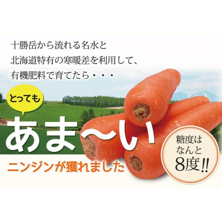 にんじん 北海道産 訳あり 洗い 人参 10kg 送料無料