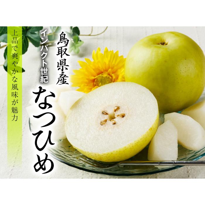 梨 なつひめ 風のいたずら ちょっと訳あり 大きさおまかせ 2kg 鳥取県産 ＪＡ鳥取中央 なし ナシ