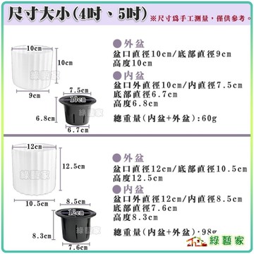 【綠藝家】波紋懶人花盆4吋自動吸水花盆 自動澆水 懶人盆栽 栽培盆 多肉盆