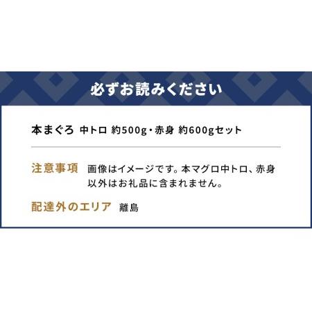 ふるさと納税 本まぐろ 中トロ 約500g・赤身 約600gセット 鮪 海鮮丼 刺し身 刺身 盛り合わせ 冷凍 魚の刺身 大分県産 九州産 津久見市 国産【.. 大分県津久見市