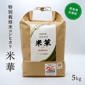 ふるさと納税 令和5年産 ノータス研究所 コシヒカリ5kg 鳥取県日南町