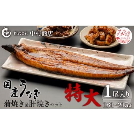 ふるさと納税 国産うなぎ 蒲焼き 特大サイズ(181〜215g)・肝焼きセット 宮崎県宮崎市