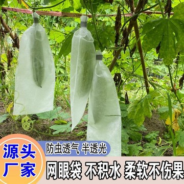 💖桃園出貨💖無紡布套裝 多尺寸紗網袋 蔬果套袋 絲瓜套袋 苦瓜 黃瓜 百香果 羊角蜜 防蟲袋 防果蠅專用袋 防蟲套袋