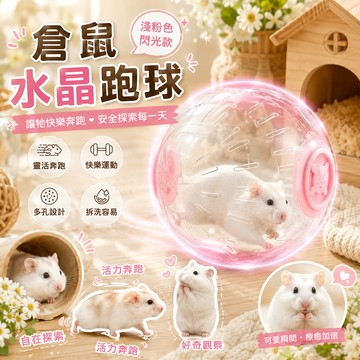 倉鼠用品 小寵跑球 倉鼠水晶跑球 透明跑球倉鼠運動球 寵物探索球 拆洗容易 多孔透氣 侏儒鼠 金絲熊 小型寵物適用