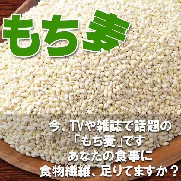 レジスタントスターチ もち麦 大麦 もちむぎ 500g×1袋 βグルカン 送料無料 セール スーパーフード