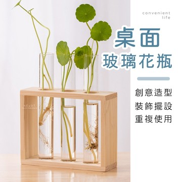 [台灣現貨]創意裝飾造型玻璃花瓶 裝飾花瓶 花瓶 玻璃花瓶 桌面花瓶