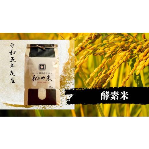 ふるさと納税 茨城県 利根町 ＼令和5年産／和の米　「酵素米」　玄米10kg