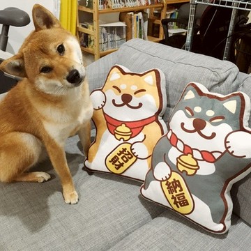 倉屋 招財犬 柴犬靠墊