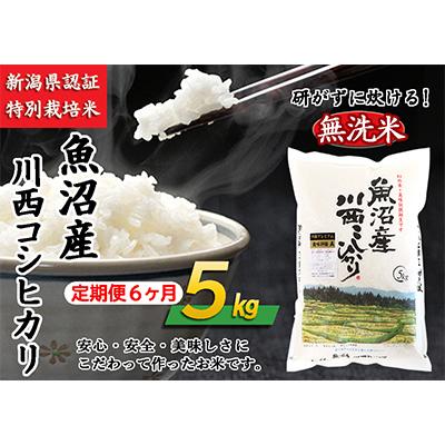 ふるさと納税 十日町市 新潟県認証米 魚沼産川西こしひかり5kg 全6回