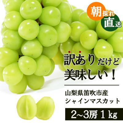 ふるさと納税 笛吹市 先行受付 2024年発送 山梨県 笛吹市 訳ありでも美味しいシャインマスカット 2房〜3房 約1kg