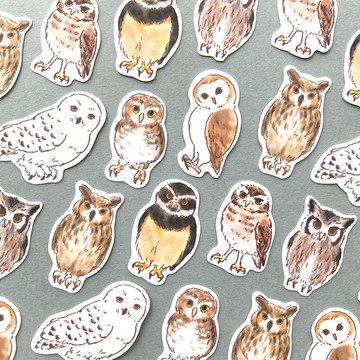 貓頭鷹獨立貼紙 貓頭鷹【32張入】