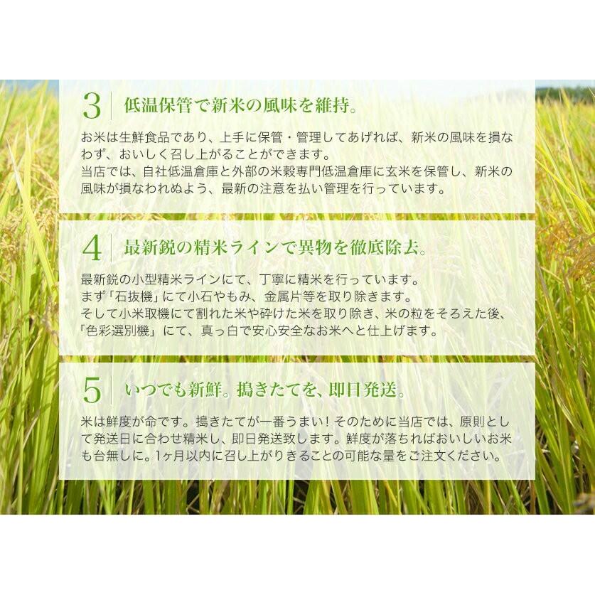 令和5年産 新米 千葉県産コシヒカリ 玄米30kg (10kg×3袋) 精米無料(精米は9kg×3袋)