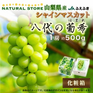 [最短順次発送]   シャインマスカット 葡希 ほまれ 約 500g 1房 八代支所 山梨県産 笛吹 JAふえふき ぶどう 果実専用箱  夏ギフト お中元