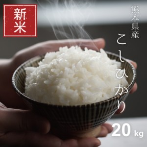新米 米 お米 20kg コシヒカリ 熊本県産 令和5年産 玄米20kg 精米18kg こしひかり