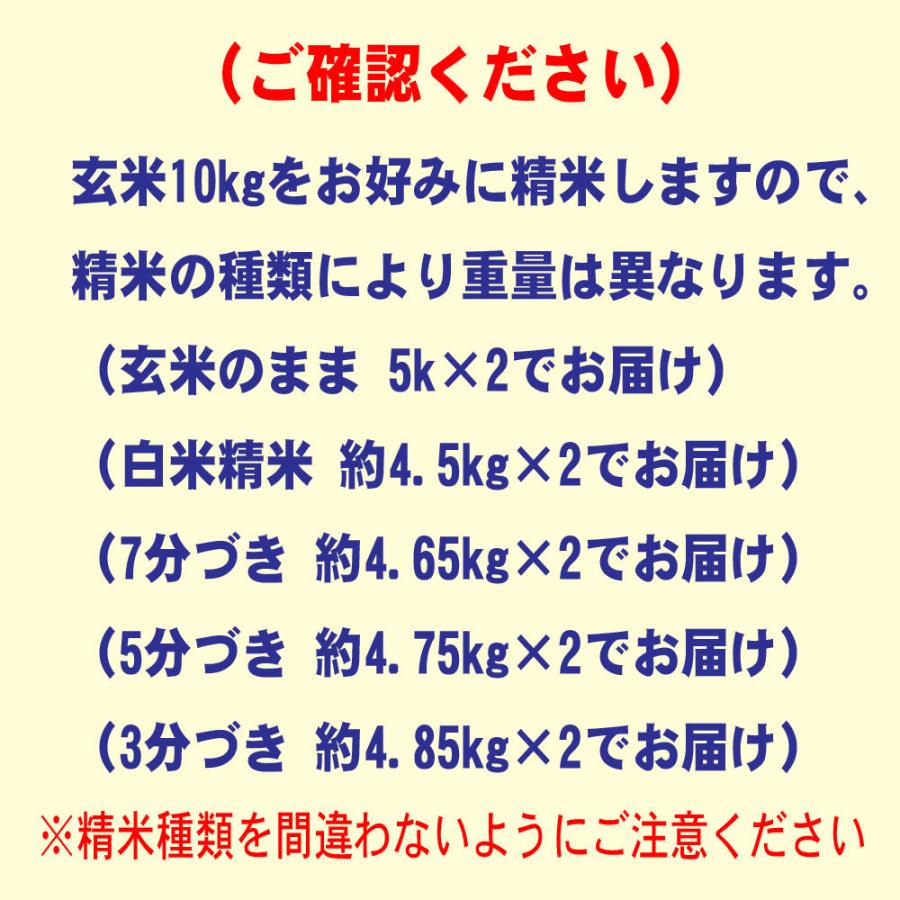 新米 令和5年産 お米 鹿児島産 コシヒカリ 10kg (5kg×2袋) 玄米 白米 7分づき 5分づき 3分づき 出荷日精米 送料無料