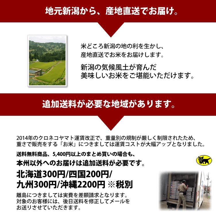 新米入荷 お米 ギフト 魚沼産 コシヒカリ 4kg 内祝い 2kg×2袋  令和5年度産 新潟米 産地直送 贈答用 箱入り 特産品 名物商品