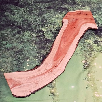 龍柏風水寶座0828-7-台灣~被視為招財納福、鎮宅辟邪的風水吉祥樹，可為住家或辦公室帶來正能量~